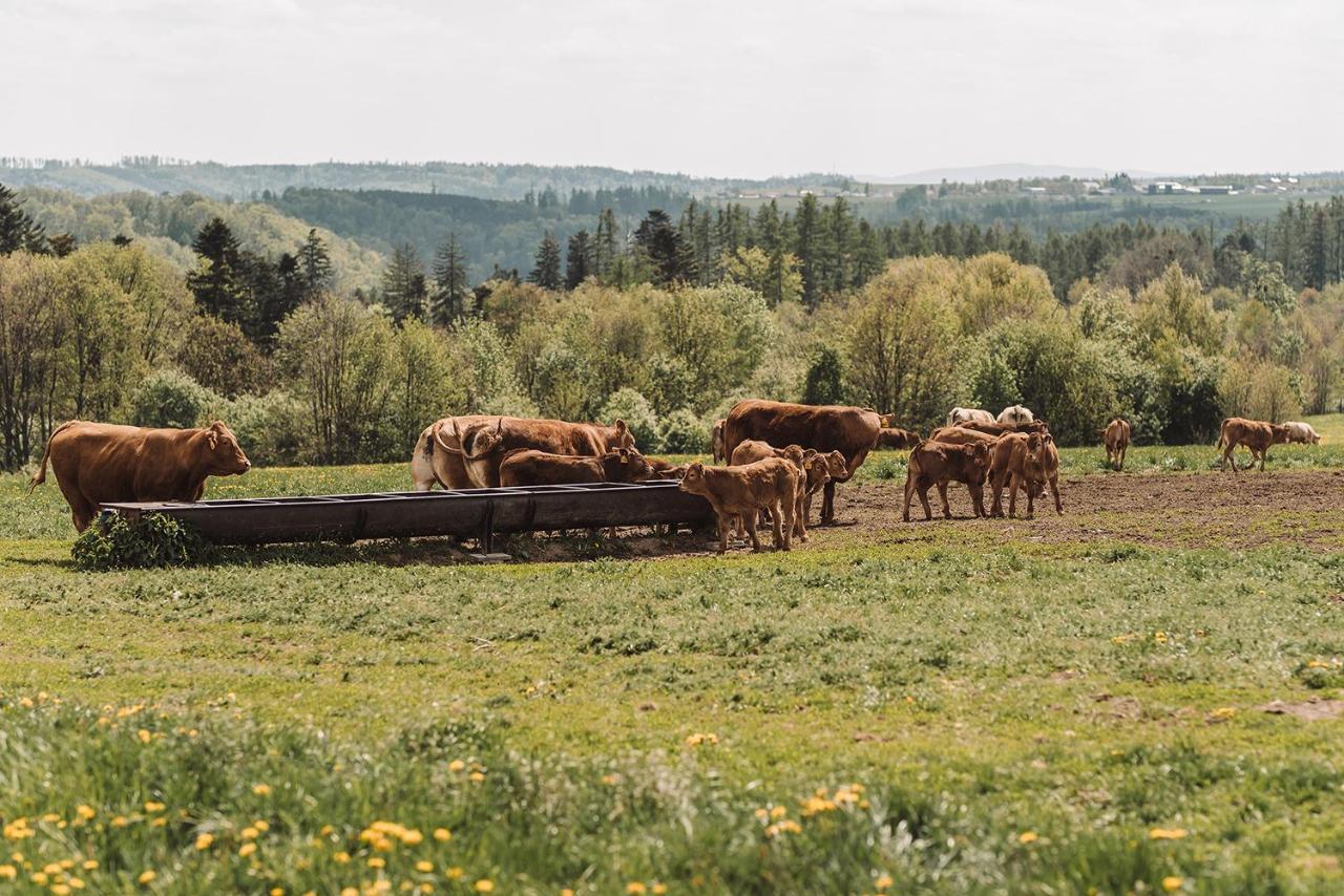 Farma Klokocov Villa Vitkov Dış mekan fotoğraf